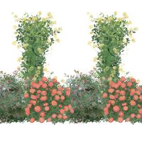 Illustration of Airy Aesthetic Cut Flower plants