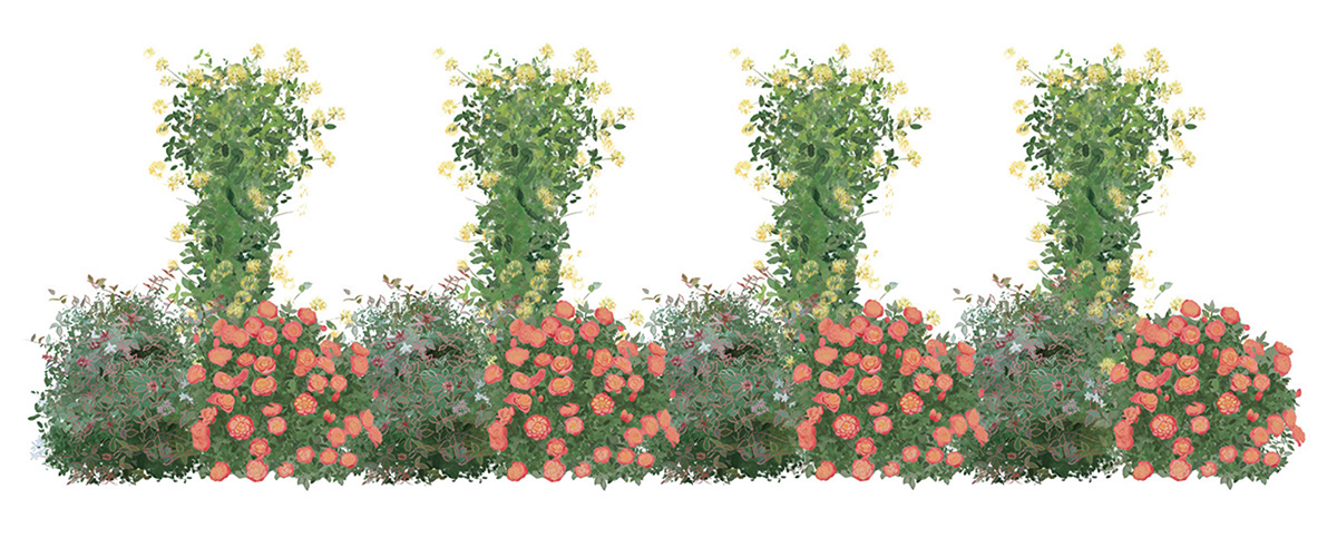 Airy Aesthetic Cut Flower Graphics2 Illustration of Airy Aesthetic Cut Flower plants