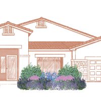 Illustration of Airy Texture for Drought Tolerance in front of a house