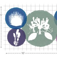 Airy Texture for Drought Tolerance garden layout #1