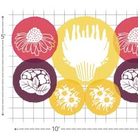 Bring in the Birds shallow border planting plan