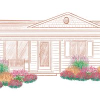 Illustration of Carolina Heat Tolerant in front of a house