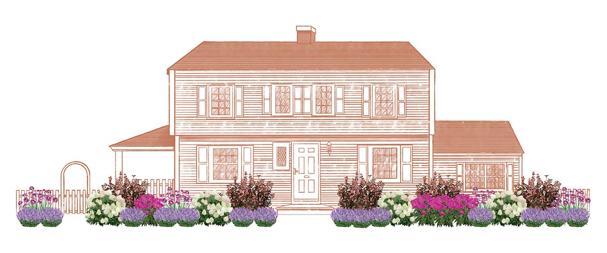 EZ Scape - Cold Tolerant Captivating Color Graphics Illustration of Cold Tolerant Captivating Color in front of a house