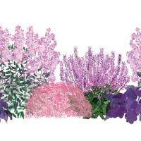 Illustration of Dry Space Filler 2 plants