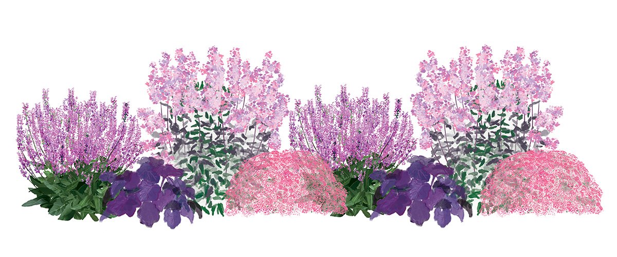 EZ Scape - Dry Space Filler 2 Graphics2 Illustration of Dry Space Filler 2 plants
