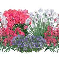 Illustration of Flower Power 3 plants