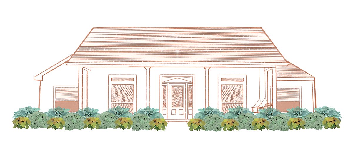 EZ Scape - Foliage Friendly Shadescape 1 Graphics Illustration of Foliage Friendly Shadescape 1 in front of a house