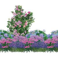 Illustration of Lush Cut Flower Blend plants