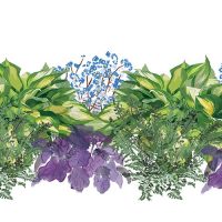 Illustration of Made for the Shade 4 plants