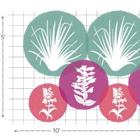 Native Roots in the Southwest garden layout #2