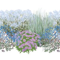 Illustration of No Thank You Deer 2 plants