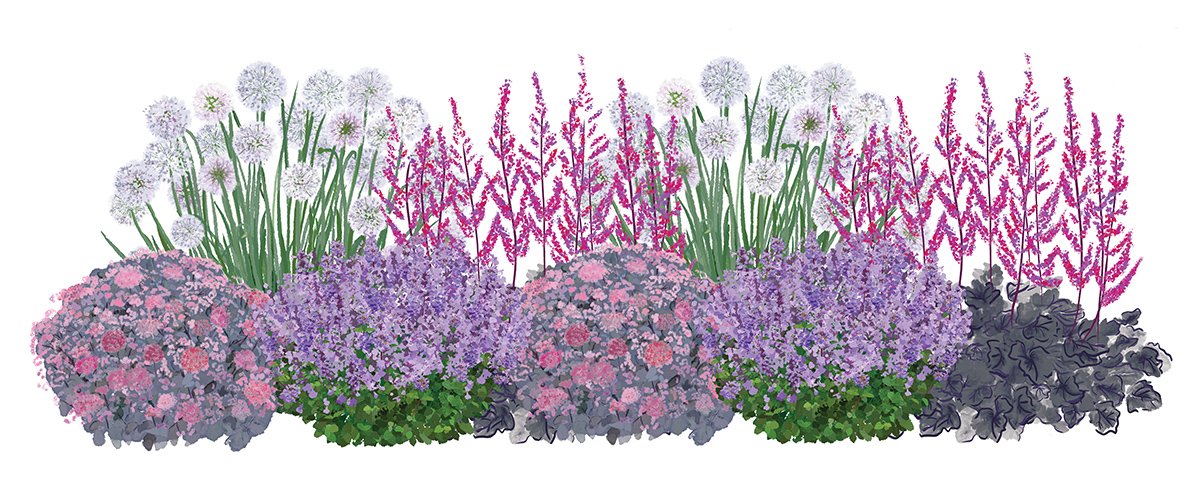 EZ Scape - Rabbit Deterrent Sunscape Graphics2 Illustration of Rabbit Deterrent Sunscape plants
