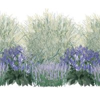 Illustration of Salty Garden Spaces plants