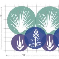 Salty Garden Spaces garden layout #3