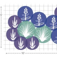 Salty Garden Spaces garden layout #2