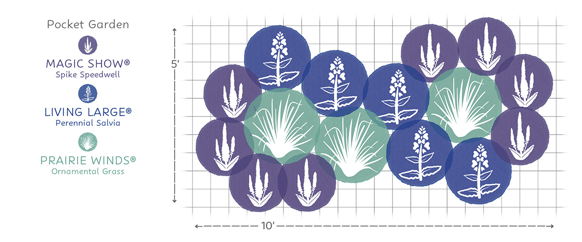 EZ Scape - Salty Garden Spaces Graphics4 Salty Garden Spaces garden layout #2