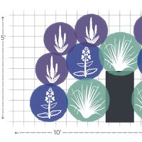 Salty Garden Spaces garden layout #1
