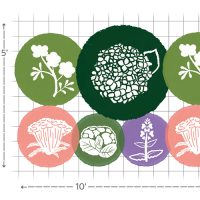 Snow Plow & Salt Tolerant garden layout #1