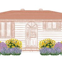 Landscape Illustration of Low Maintenance 1 perennial EZ Scape landscape recipe