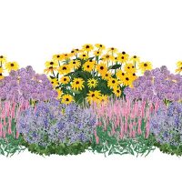 Illustration of Low Maintenance 1 perennial EZ Scape landscape recipe