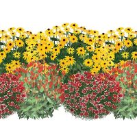 Illustration of the Native Roots in the Southeast 2 EZ Scape Landscape Recipe