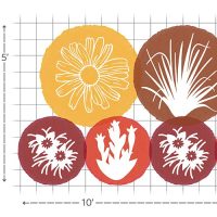 Shallow border planting plan of the Native Roots in the Southeast 2 EZ Scape Landscape Recipe